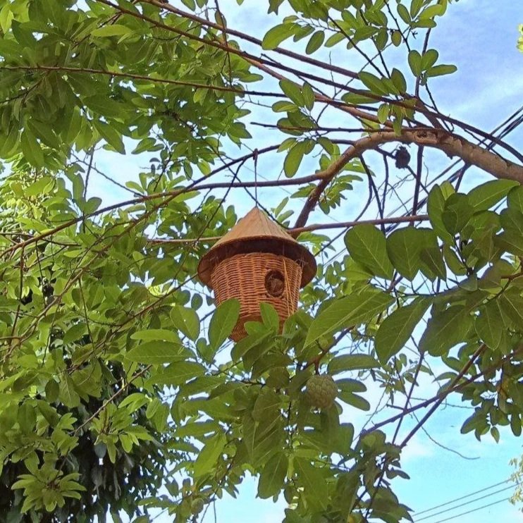 Hat Roof Birdhouse 1015