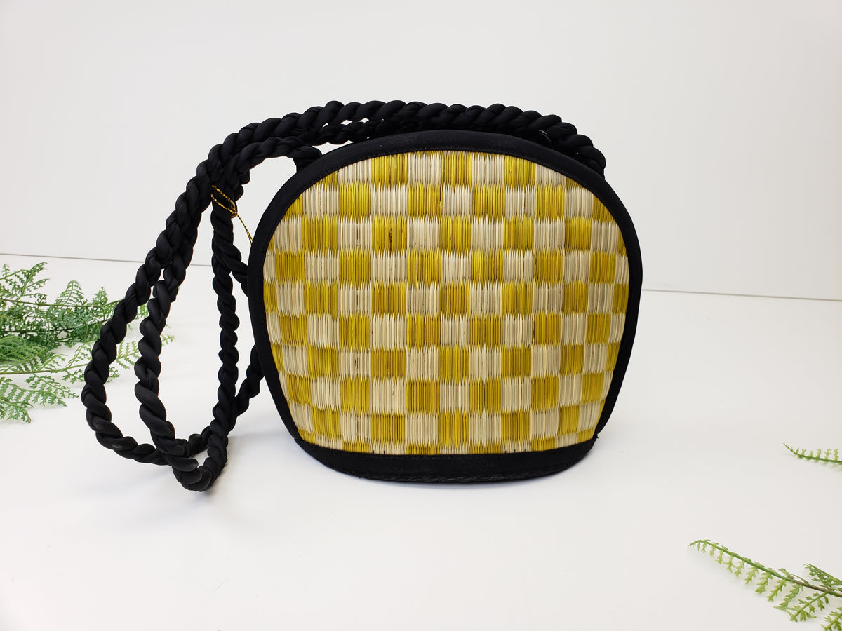 Smallish Intro Purse
