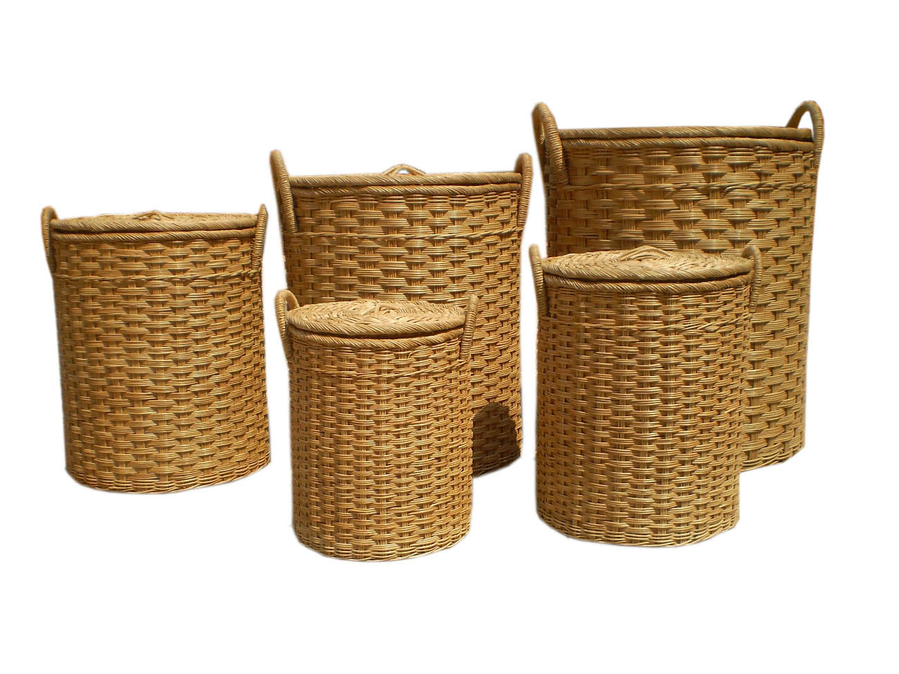 8-6MS5 "Elephant Sets" Round Sets of 5 per Box